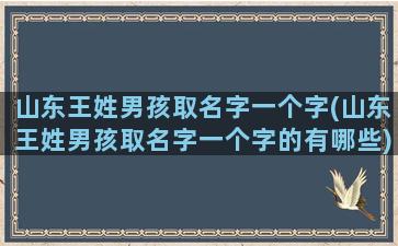 山东王姓男孩取名字一个字(山东王姓男孩取名字一个字的有哪些)