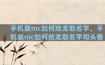 手机版mc如何给龙取名字，手机版mc如何给龙取名字和头像