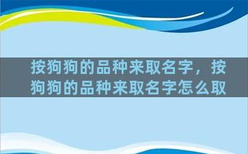 按狗狗的品种来取名字，按狗狗的品种来取名字怎么取