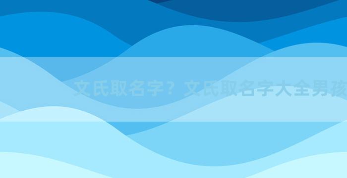 文氏取名字？文氏取名字大全男孩