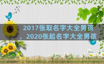 2017张取名字大全男孩，2020张起名字大全男孩