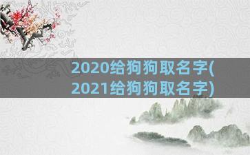 2020给狗狗取名字(2021给狗狗取名字)