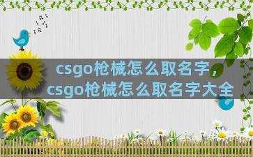 csgo枪械怎么取名字，csgo枪械怎么取名字大全