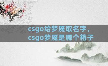 csgo给梦魇取名字，csgo梦魇是哪个箱子