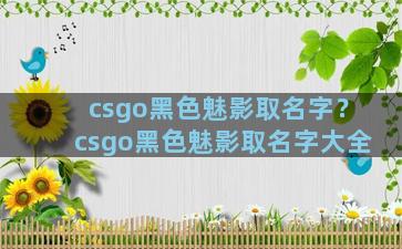 csgo黑色魅影取名字？csgo黑色魅影取名字大全