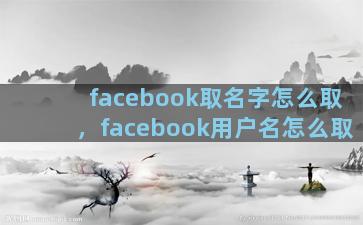 facebook取名字怎么取，facebook用户名怎么取