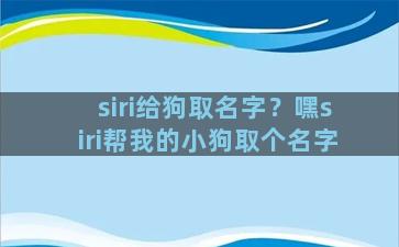 siri给狗取名字？嘿siri帮我的小狗取个名字