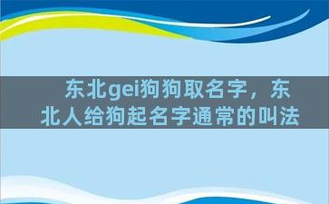 东北gei狗狗取名字，东北人给狗起名字通常的叫法