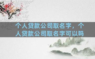 个人贷款公司取名字，个人贷款公司取名字可以吗