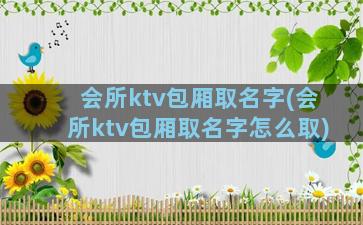 会所ktv包厢取名字(会所ktv包厢取名字怎么取)