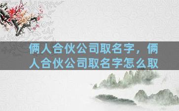 俩人合伙公司取名字，俩人合伙公司取名字怎么取