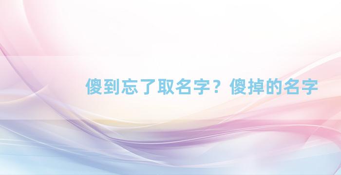 傻到忘了取名字？傻掉的名字