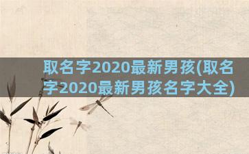 取名字2020最新男孩(取名字2020最新男孩名字大全)