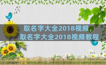 取名字大全2018视频，取名字大全2018视频教程