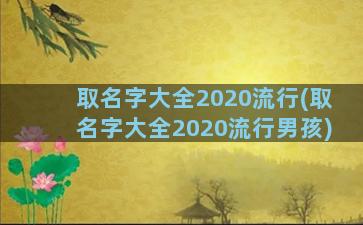 取名字大全2020流行(取名字大全2020流行男孩)