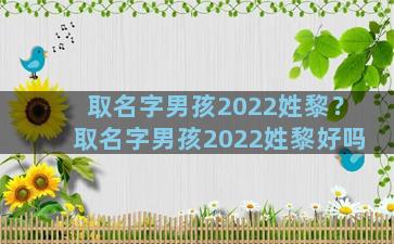 取名字男孩2022姓黎？取名字男孩2022姓黎好吗