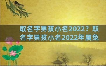 取名字男孩小名2022？取名字男孩小名2022年属兔