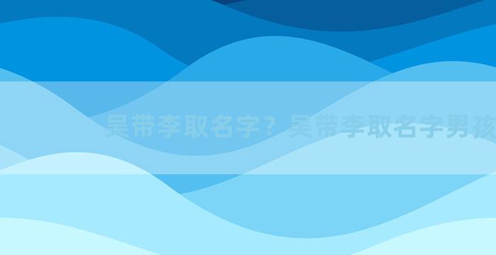 吴带李取名字？吴带李取名字男孩