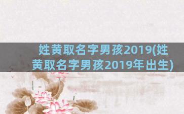 姓黄取名字男孩2019(姓黄取名字男孩2019年出生)