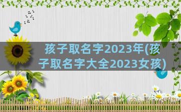 孩子取名字2023年(孩子取名字大全2023女孩)