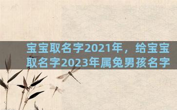 宝宝取名字2021年，给宝宝取名字2023年属兔男孩名字