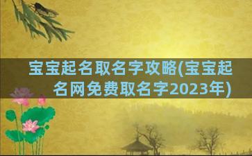 宝宝起名取名字攻略(宝宝起名网免费取名字2023年)