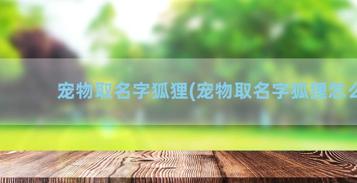 宠物取名字狐狸(宠物取名字狐狸怎么取)