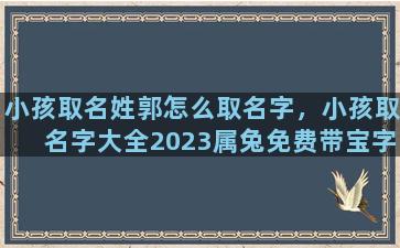 小孩取名姓郭怎么取名字，小孩取名字大全2023属兔免费带宝字取名