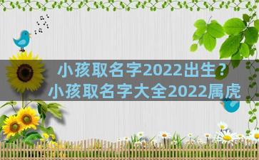 小孩取名字2022出生？小孩取名字大全2022属虎