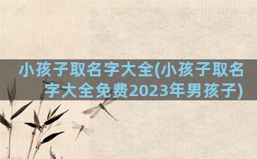 小孩子取名字大全(小孩子取名字大全免费2023年男孩子)