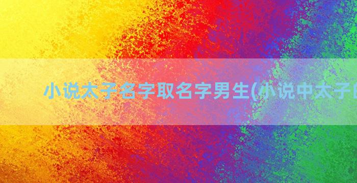 小说太子名字取名字男生(小说中太子的名字)