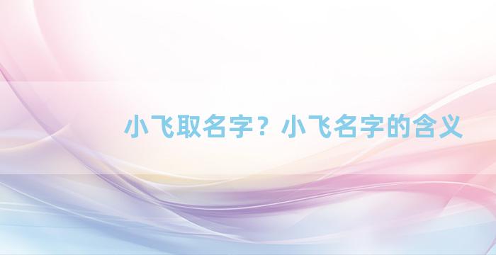 小飞取名字？小飞名字的含义