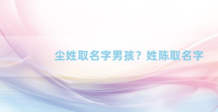 尘姓取名字男孩？姓陈取名字