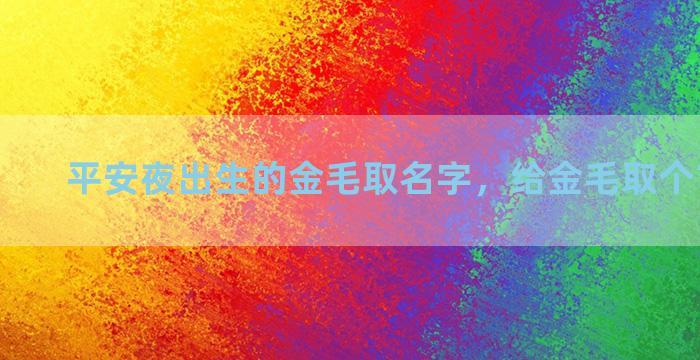 平安夜出生的金毛取名字，给金毛取个吉利名字