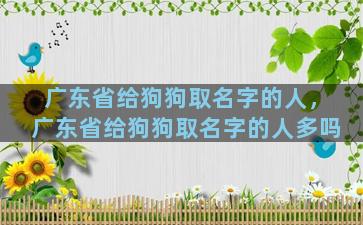 广东省给狗狗取名字的人，广东省给狗狗取名字的人多吗