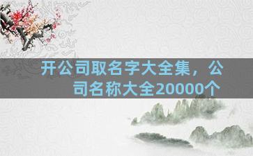 开公司取名字大全集，公司名称大全20000个