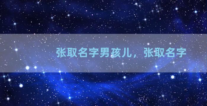 张取名字男孩儿，张取名字