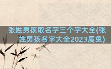 张姓男孩取名字三个字大全(张姓男孩名字大全2023属兔)