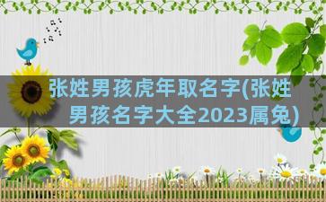 张姓男孩虎年取名字(张姓男孩名字大全2023属兔)