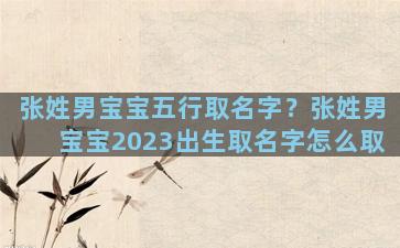 张姓男宝宝五行取名字？张姓男宝宝2023出生取名字怎么取