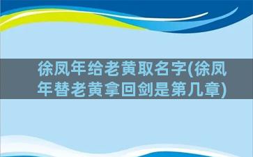 徐凤年给老黄取名字(徐凤年替老黄拿回剑是第几章)