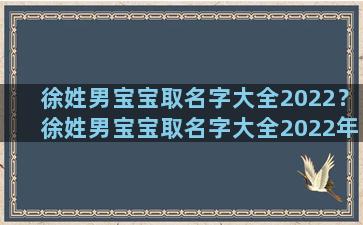 徐姓男宝宝取名字大全2022？徐姓男宝宝取名字大全2022年