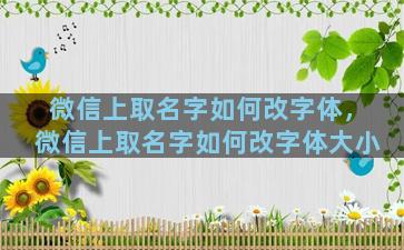 微信上取名字如何改字体，微信上取名字如何改字体大小