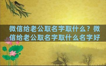 微信给老公取名字取什么？微信给老公取名字取什么名字好