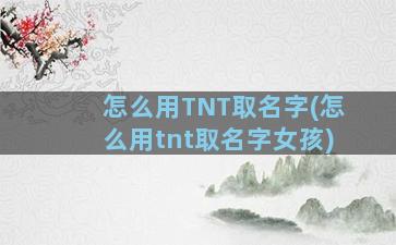 怎么用TNT取名字(怎么用tnt取名字女孩)