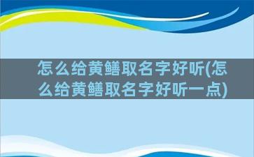 怎么给黄鳝取名字好听(怎么给黄鳝取名字好听一点)