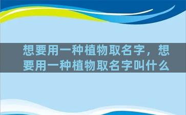 想要用一种植物取名字，想要用一种植物取名字叫什么