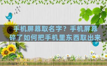 手机屏幕取名字？手机屏幕碎了如何把手机里东西取出来