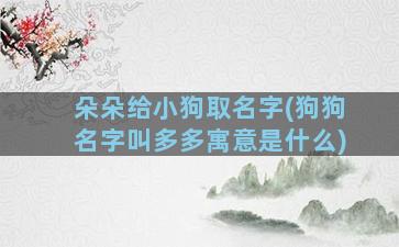 朵朵给小狗取名字(狗狗名字叫多多寓意是什么)