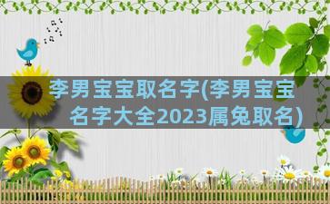 李男宝宝取名字(李男宝宝名字大全2023属兔取名)